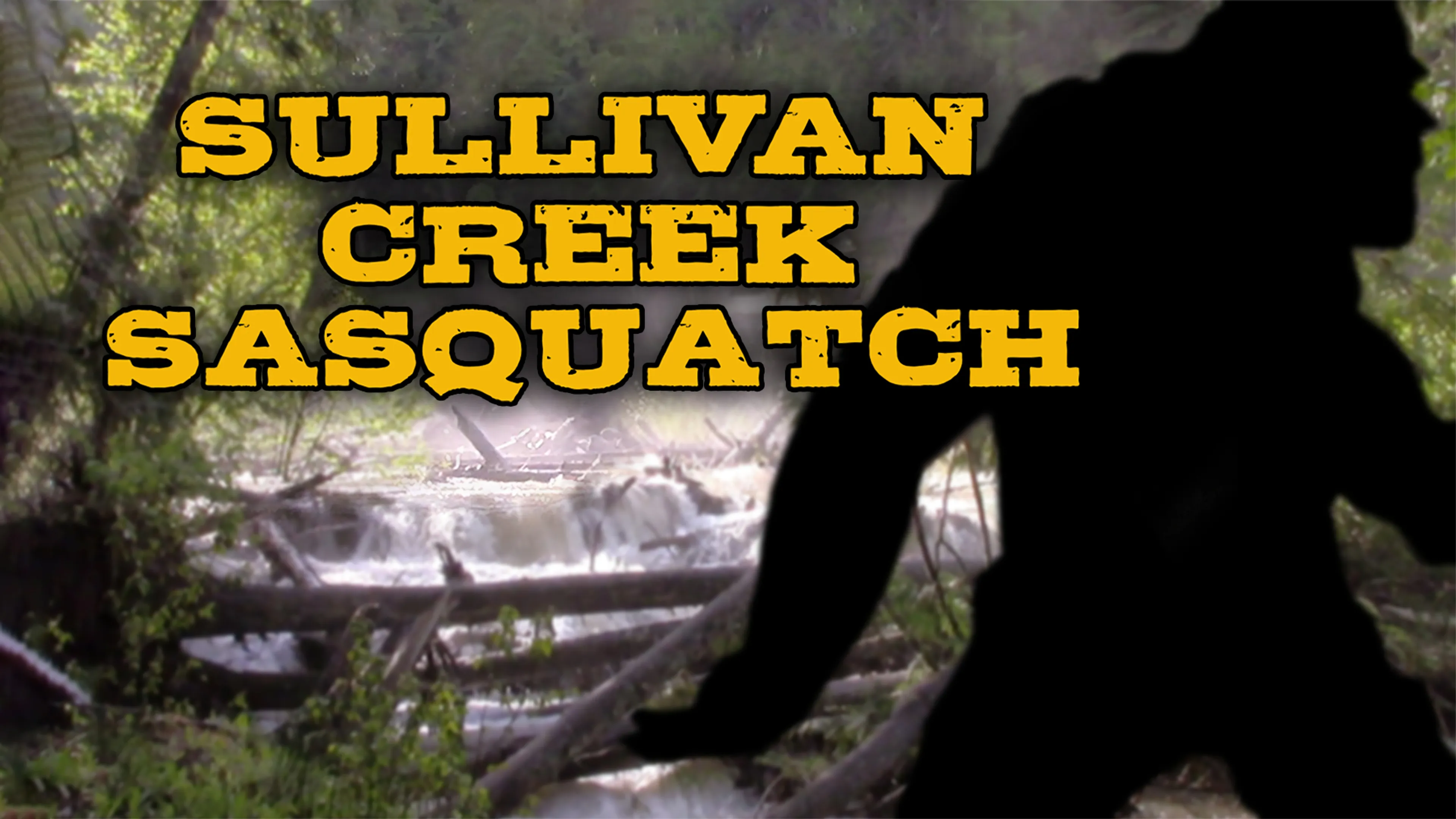 Sullivan Creek Sasquatch poster